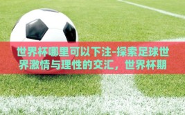 世界杯哪里可以下注-探索足球世界激情与理性的交汇，世界杯期间的下注渠道解析