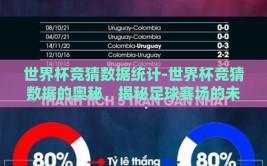 世界杯竞猜数据统计-世界杯竞猜数据的奥秘，揭秘足球赛场的未知之谜