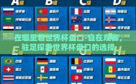 在哪里看世界杯盘口-自在观赛，驻足探索世界杯盘口的选择