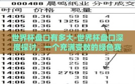 世界杯盘口有多大-世界杯盘口深度探讨，一个充满变数的绿色赛场