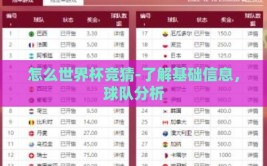 怎么世界杯竞猜-了解基础信息，球队分析