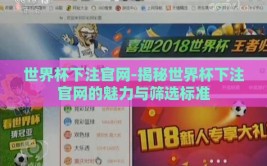 世界杯下注官网-揭秘世界杯下注官网的魅力与筛选标准