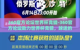 360官方论坛世界杯竞猜-360官方论坛助力世界杯竞猜，球迷的狂欢与智慧的碰撞