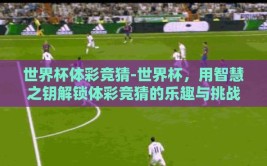 世界杯体彩竞猜-世界杯，用智慧之钥解锁体彩竞猜的乐趣与挑战