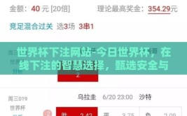 世界杯下注网站-今日世界杯，在线下注的智慧选择，甄选安全与信赖的押注平台
