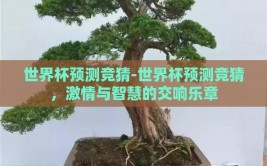 世界杯预测竞猜-世界杯预测竞猜，激情与智慧的交响乐章