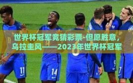 世界杯冠军竞猜彩票-但愿胜意，乌拉圭风——2023年世界杯冠军竞猜彩票的独特视角