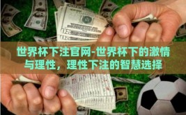 世界杯下注官网-世界杯下的激情与理性，理性下注的智慧选择