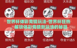 世界杯体彩竞猜玩法-世界杯狂热，解锁体彩竞猜新玩法的秘籍