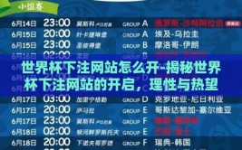 世界杯下注网站怎么开-揭秘世界杯下注网站的开启，理性与热望的交织