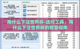 用什么下注世界杯-选对工具，用什么下注世界杯的智慧指南