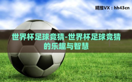 世界杯足球竞猜-世界杯足球竞猜的乐趣与智慧