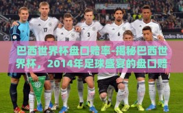 巴西世界杯盘口赔率-揭秘巴西世界杯，2014年足球盛宴的盘口赔率与市场预期