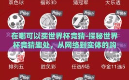 在哪可以买世界杯竞猜-探秘世界杯竞猜趣处，从网络到实体的购彩途径