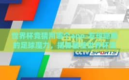 世界杯竞猜用哪个app-发现隐藏的足球魔力，揭秘最佳世界杯竞猜App
