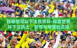 在哪里可以下注世界杯-探索世界杯下注热土，梦想与希望的交锋之地