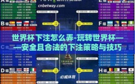 世界杯下注怎么弄-玩转世界杯——安全且合法的下注策略与技巧