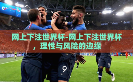 网上下注世界杯-网上下注世界杯，理性与风险的边缘