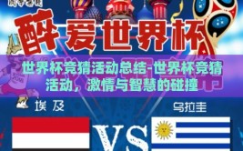世界杯竞猜活动总结-世界杯竞猜活动，激情与智慧的碰撞