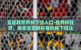 亚足联世界杯下注入口-世界杯狂欢，解密亚足联杯赛的线下投注新体验