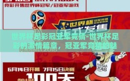 世界杯足彩冠亚军竞猜-世界杯足彩的激情篇章，冠亚军竞猜的魅力探索
