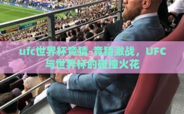 ufc世界杯竞猜-竞猜激战，UFC与世界杯的碰撞火花