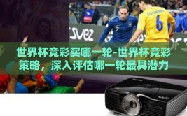 世界杯竞彩买哪一轮-世界杯竞彩策略，深入评估哪一轮最具潜力与风险考量