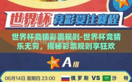 世界杯竞猜彩票规则-世界杯竞猜乐无穷，揭秘彩票规则享狂欢