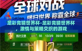 足彩竞猜世界杯-足彩竞猜世界杯，激情与策略交织的游戏