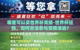 哪里可以买世界杯竞猜-世界杯狂热，如何合法参与竞猜活动？
