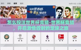 怎么投注世界杯竞猜-世界杯竞猜，开启激情四射的足球之旅