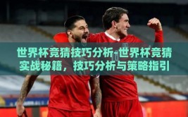 世界杯竞猜技巧分析-世界杯竞猜实战秘籍，技巧分析与策略指引