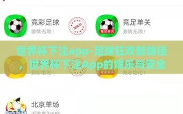 世界杯下注app-足球狂欢新路径，世界杯下注App的娱乐与安全导航
