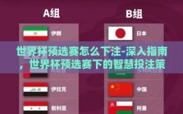 世界杯预选赛怎么下注-深入指南，世界杯预选赛下的智慧投注策略