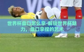 世界杯盘口怎么拿-解锁世界杯魅力，盘口拿捏的艺术