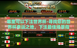 哪里可以下注世界杯-寻找您的世界杯幸运之地，下注最佳场景指引