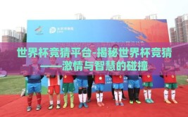 世界杯竞猜平台-揭秘世界杯竞猜——激情与智慧的碰撞