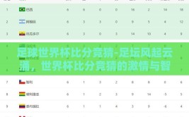 足球世界杯比分竞猜-足坛风起云涌，世界杯比分竞猜的激情与智慧博弈