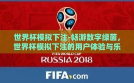 世界杯模拟下注-畅游数字绿茵，世界杯模拟下注的用户体验与乐趣探索