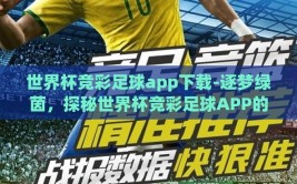 世界杯竞彩足球app下载-逐梦绿茵，探秘世界杯竞彩足球APP的魅力与下载指南