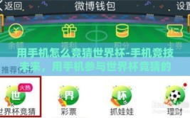 用手机怎么竞猜世界杯-手机竞技未来，用手机参与世界杯竞猜的乐趣与策略