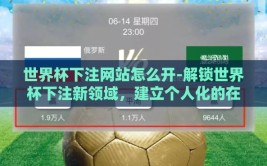 世界杯下注网站怎么开-解锁世界杯下注新领域，建立个人化的在线投注网站全攻略