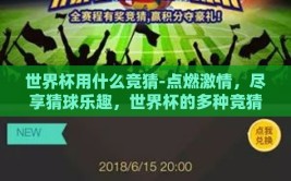 世界杯用什么竞猜-点燃激情，尽享猜球乐趣，世界杯的多种竞猜方式探索