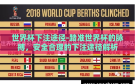 世界杯下注途径-踏准世界杯的脉搏，安全合理的下注途径解析