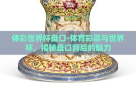 体彩世界杯盘口-体育彩票与世界杯，揭秘盘口背后的魅力