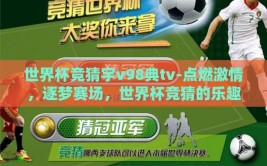 世界杯竞猜宇v98典tv-点燃激情，逐梦赛场，世界杯竞猜的乐趣与V98典TV的创新体验