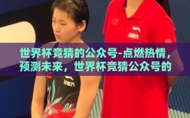 世界杯竞猜的公众号-点燃热情，预测未来，世界杯竞猜公众号的魅力与智慧