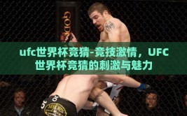 ufc世界杯竞猜-竞技激情，UFC世界杯竞猜的刺激与魅力