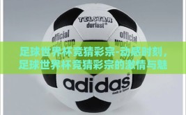 足球世界杯竞猜彩宗-动感时刻，足球世界杯竞猜彩宗的激情与魅力