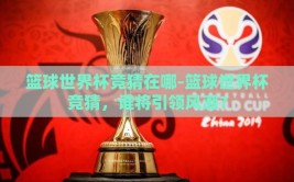 篮球世界杯竞猜在哪-篮球世界杯竞猜，谁将引领风潮？